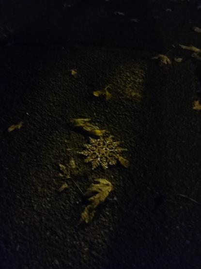 In der Dunkelheit liegt auf dem Biden eine Deko-Glitzer-Schnee-Flocke.