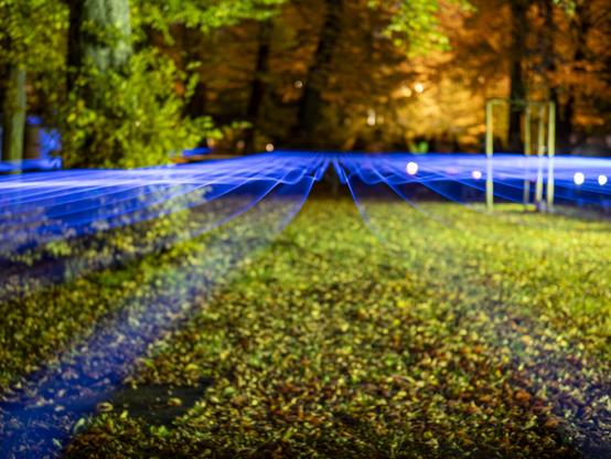 blue waves of light in a park.