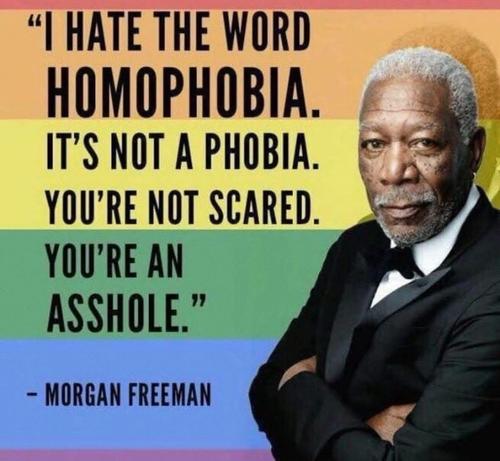 A sharepic  with actor Morgan Freeman. The background is a rainbow flag. The text reads:

"I hate the word HOMOPHOBIA.

It's not a phobia. You're not scared. You're an asshole."

-- Morgan Freeman