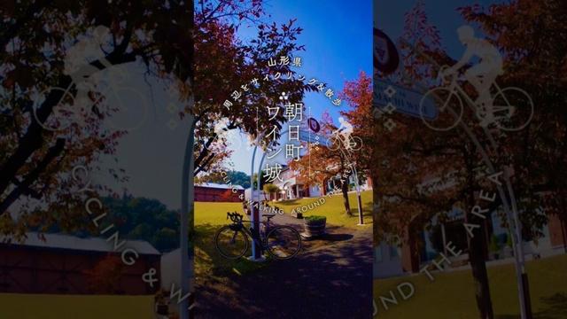 東北に「ワイン城」があった⁉🏰🍷絶景の中を走る #山形 #旅行 #サイクリング #shorts