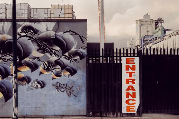 A mural of a swarm of wasps with the terminal in the background.