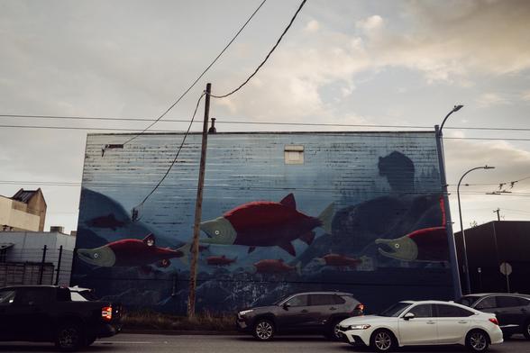 A school of vehicle swim past a salmon mural.