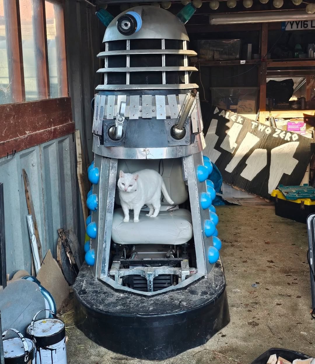 Cat inside a Dalek, at the controls