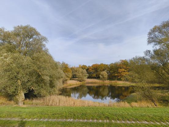 Blick vom Elbdeich auf ein kleines Brack, in welchem auch gebadet werden kann. Das Brack befindet sich etwa auf Höhe der Ortschaft Unbesandten und ist mit Laubbäumen umsäumt.