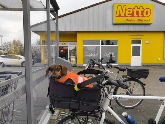 Das Fahrrad mit Effie im Körbchen parkt vor einem Supermarkt in Lenzen.