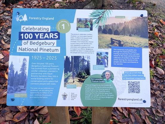 100 years information