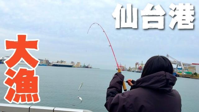 【宮城釣り】秋の仙台港で釣りをした結果…美味しい魚が大漁でした！