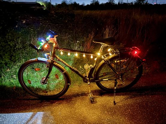 Ein mit bunten LED-Lampen am Lenker und einer LED- Halloween-Kürbis-Lampen-Lichterkette am Oberrohr geschmücktes Herrenrad vor einer Wildwiese in der Seitenansicht.