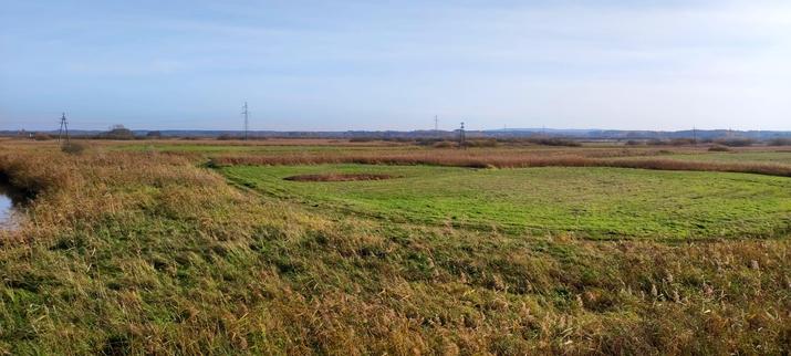 Panorama nadnoteckich łąk. Pomiędzy pasami wysokiej, żółknącej trawy są zielone plaski krótkiej, z których niedawno zebrano siano. Przez łąki przechodzą dwie linie energetyczne, bliższa jest na niskich, betonowych słupach, ta położona dalej na dużo wyższych metalowych słupach.