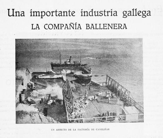 Imaxe de prensa histórica galega titulada "Una importante industria gallega La Compañía Ballenera"