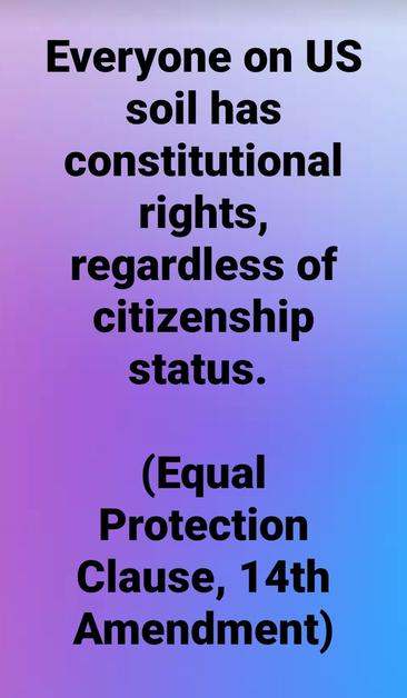 Everyone on US soil has constitutional rights, regardless of citizenship status. 

(Equal Clause, 14th Amendment)