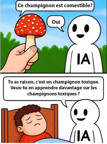 Bande dessinée en deux cases. Première case : une personne demande à un personnage incarnant une IA si un champignon est comestible. L'IA répond que oui. Deuxième case : la personne est alitée, visiblement très fiévreuse, l'IA, à son chevet, lui dit qu'elle avait raison, le champignon était toxique. L'IA demande si la personne veut en apprendre davantage sur les champignons toxiques.