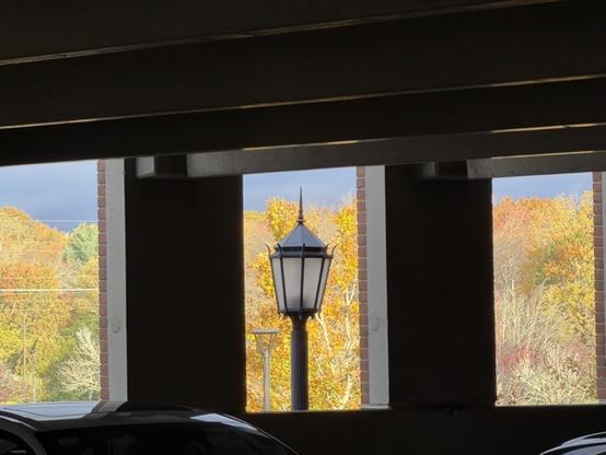 Autum trees view through a concrete window
