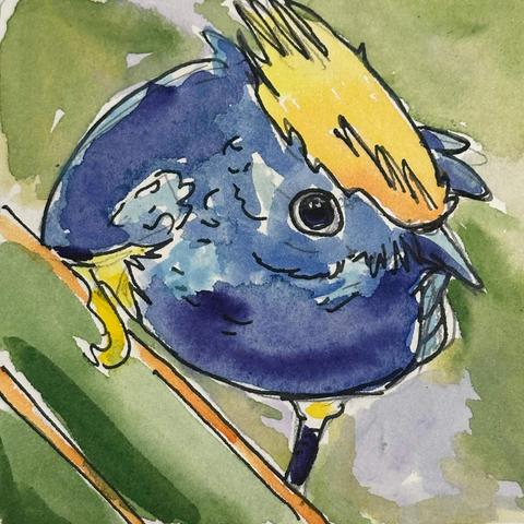 A dark blue/black bird leaning on a leaf. It has a yellow tuft of feathers on its head.