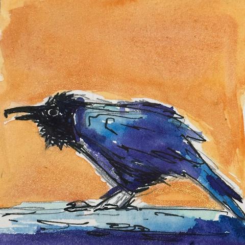A raven mid squawk. Blacks are rendered in  purples and blues and details added with black ink. The background is sparkly orange.