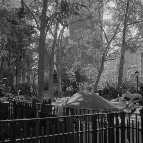 Mamiya 6 IV | Kodak Tri-X 400

Home developed in XTOL Stock | 6:00 @ 22C | Rotation

A dog in the Union Square dog park at the top of a hill, proving he is truly an “apex” predator