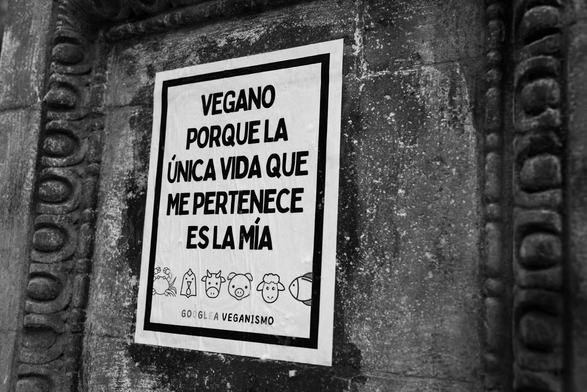 Fotografía en blanco u negro de un cartel en un muro de concreto con relieves a su alrededor. El cartel dice con letras mayúsculas: VEGANO PORQUE LA ÚNICA VIDA QUE ME PERTENECE ES LA MÍA. © Sofía Dumat|CLAMOR DE LIBERTAD
