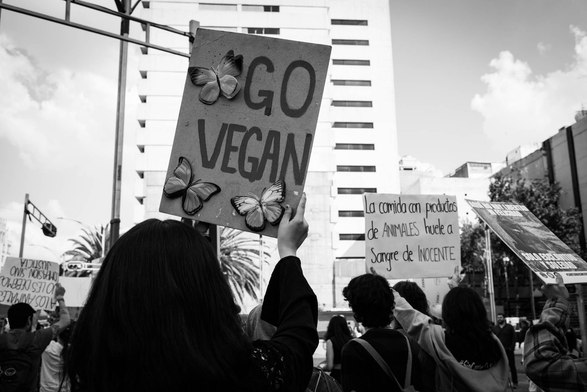 Fotografía en blanco y negro de un cartel que sostiene una compañere en una marcha contra el especismo en Ciudad de México, el cartel tiene unas mariposas en tercera dimensión y con letras mayúsculas dice: GO VEGAN. A su alrededor hay otres compañeres con pancartas y al fondo en contraluz hay un edificio, el cielo, nubes. © Sofía Dumat|CLAMOR DE LIBERTAD