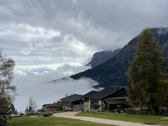 Man sieht im Hintergrund viele Wolken und Nebel. Rechts daneben sind ein paar Ansätze von Bergen zu erkennen. Im Vordergrund ist ein Teil eines Bauernhofs zu erkennen. Ganz rechts im bild steht ein hoher Nadelbaum.