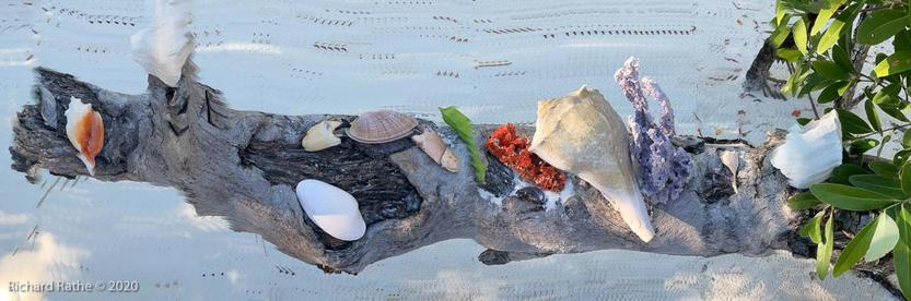 photo by richard rathe