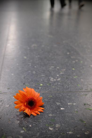 Das Bild zeigt eine einzelne orangefarbene Gerbera-Blüte auf einem grauen, gemusterten Fliesenboden. Im Hintergrund sind verschwommen die Beine vorübergehender Personen erkennbar. The image shows a single orange gerbera blossom on a gray, patterned tile floor. In the background, the blurred legs of passersby are visible.