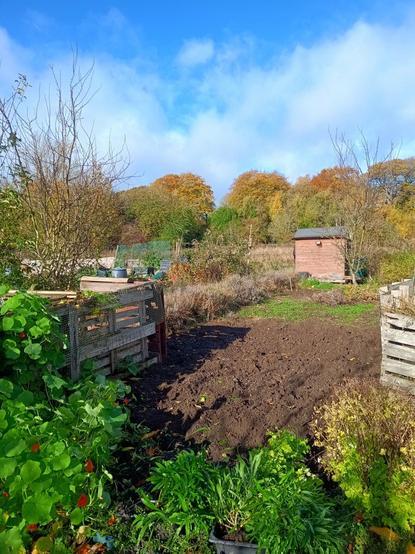This is our allotment pictured from the same spot as in previous months. Under a blue sky and light cloud you can see compost containers made from pallets, an area of cleared ground, a wooden shed and a few  fruit trees. The mature trees in the background display their autumn colours.