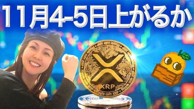 11月20日がトップになる説 アルトコインETFに賭ける大口投資家