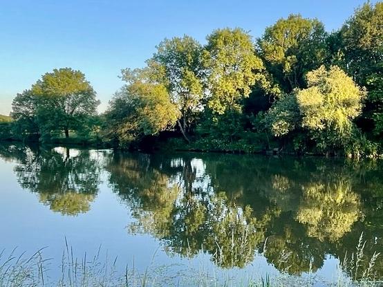 Ein stiller Fluss spiegelt die grünen Bäume am Ufer im Wasser. Das warme Licht eines späten Nachmittags lässt die Blätter golden schimmern, während der Himmel in sanftem Blau leuchtet.