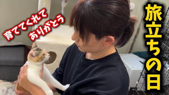 小さな体で病気と闘った子猫がついにこの日を迎えました