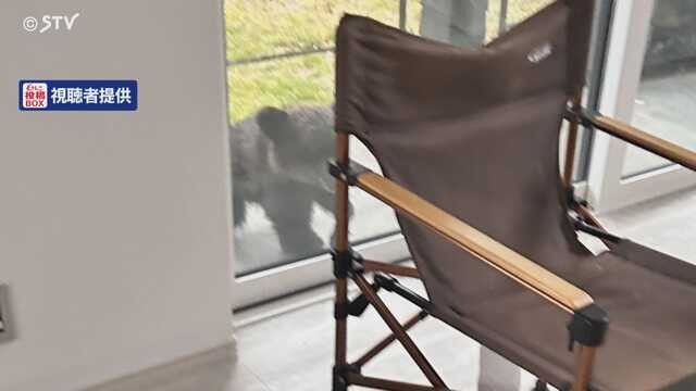 「クマがべランダ窓近くにいる」住宅街で子グマ目撃相次ぐ 札幌市南区の住宅 ｜ ニュース - ＳＴＶ札幌テレビ 放送