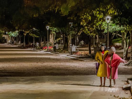 Estatuas das Dúas Marías nun paseo arborado e iluminado por farolas durante a noite en Santiago de Compostela.