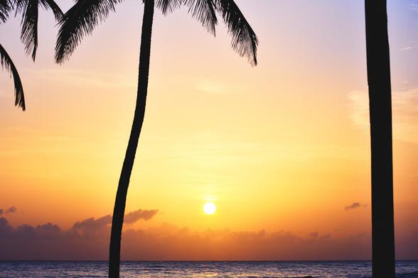 A sunset over the ocean is visible, with silhouettes of palm trees framing the scene. The sky displays soft hues of orange and purple as the sun sets on the horizon.