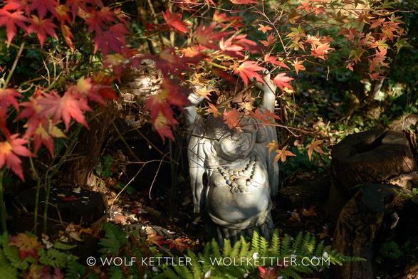 Small buddha statue under an autumnal acer