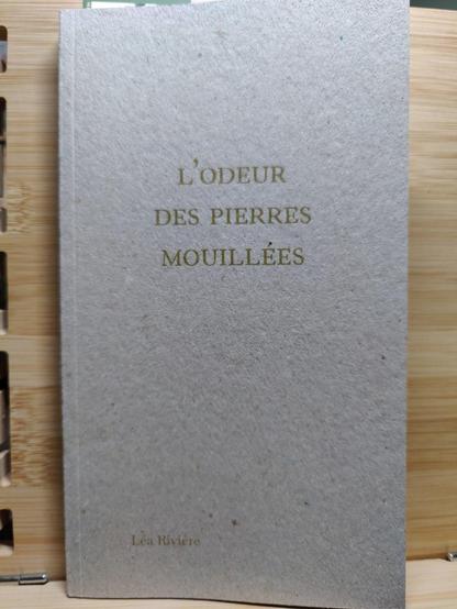 Photo de la couverture du livre "L'odeur des pierres mouillées", de Léa Rivière.
Publié aux éditions du Commun.

Une couverture cartonnée, sur laquelle le titre et le nom de l'autrice sont écrits en vert clair.