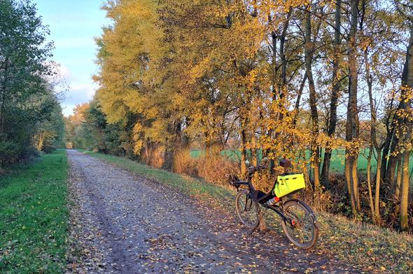 Weg östlich von Hamburg, Herbstfarben im Abendlicht, Liegerad mit Kamerahalterung für Panoramax-Aufnahmen