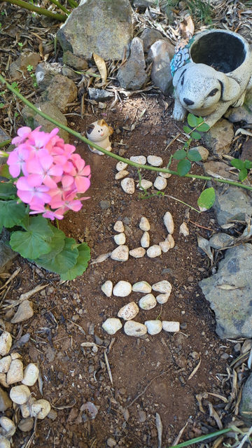 La tumba de Neo está en la tierra, en nuestra casita. Tiene su nombre grabado en la tierra con piedritas blancas. Un geranio de flores rosas, un gatito de porcelana y una maceta con forma de conejito la adornan.