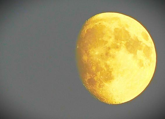 A waxing gibbous moon in a twilight sky. Lots of detail from the lunar surface is visible.