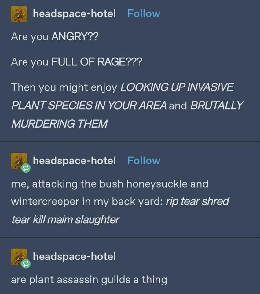 Are you ANGRY?? Are you FULL OF RAGE??? Then you might enjoy LOOKING UP INVASIVE PLANT SPECIES IN YOUR AREA and BRUTALLY MURDERING THEM me, attacking the bush honeysuckle and wintercreeper in my back yard: rip tear shred tear kill maim slaughter are plant assassin guilds a thing