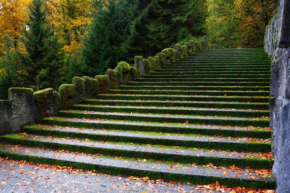 A picturesque outdoor scene featuring a wide, ascending staircase flanked by a moss-covered stone fence. The staircase, constructed from grey stone steps, is bordered by the rustic charm of the mossy stonework, which adds a sense of age and natural beauty. The ground around the steps is scattered with autumnal fallen leaves in shades of orange and brown, creating a seasonal atmosphere. In the background, a lush forest of tall trees with vibrant green and golden foliage provides a serene and natural backdrop. The overall scene is tranquil, blending the elegance of stone architecture with the charm of autumnal nature.