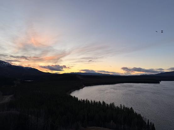Sunrise colours are climbing into the sky and casting pink light on some wispy clouds at the edge of Grey Mountain. We’re looking down on Schwatka Lake, with a group of ravens just visible in one corner of the sky, playing in the updraft.
