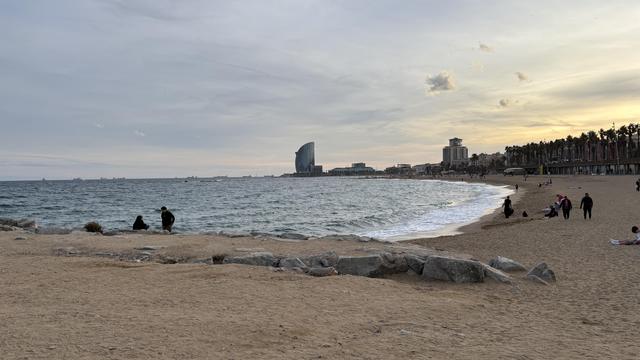 Cuchara de la playa de la Barceloneta