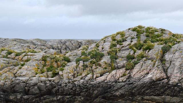 A photo of a rocky outsrop with patches of plants growing on it. The sky is cloudy.