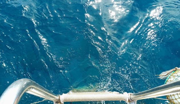 Der Atlantik. Ein Zugang mit einer Metalleiter zum Meer.