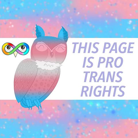 Sparkly trans flag with blur effect in the center so the pink and blue make a subtle lavender. 
Featured is a trans great horned owl named Kiwi. Next to him is lavender text saying, "THIS PAGE IS PRO TRANS RIGHTS".
There is a rainbow infinity sign logo with a black and brown eye in each of the two centers. Under the eyes in pastel brown text reads "Actually" and "Owltistic".