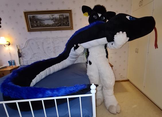 Black and white bovine fursuiter holding up a large black, white and blue snake plushie.