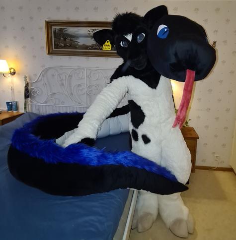 Black and white bovine fursuiter posing with a large black, white and blue snake plushie.