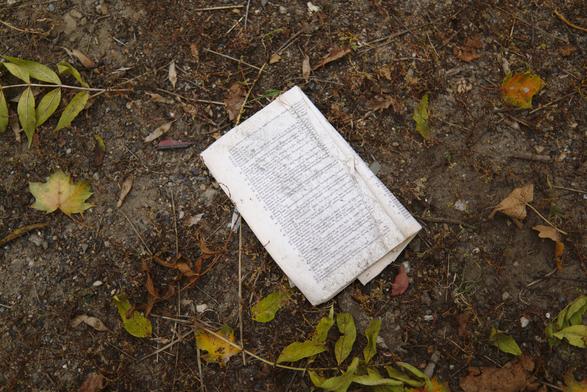 Torn booklet on the wet ground, some autumn leaves and dirt around it