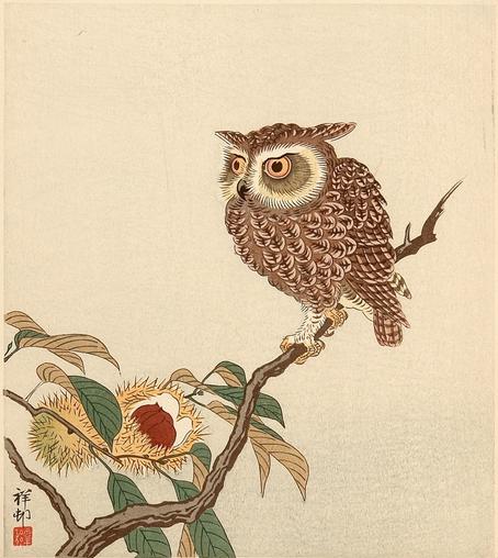An owl sits on a branch of chestnut tree.