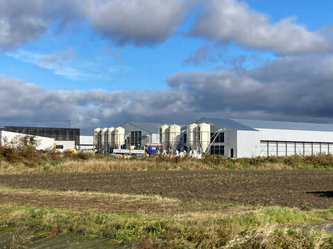 高病原性鳥インフルエンザの疑い 23万6000羽の殺処分始まる 恵庭市の養鶏場 ｜ ニュース - ＳＴＶ札幌テレビ 放送