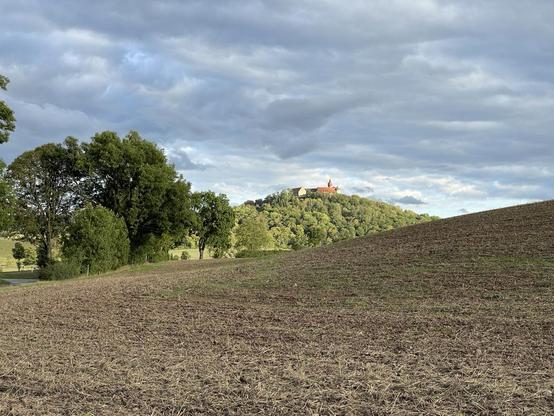 Feld, Bäume und ein bewaldeter Berg mit der Veste Heldburg